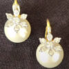 Earrings With Diamonds & Pearls
